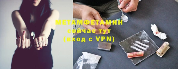 PSILOCYBIN Белокуриха