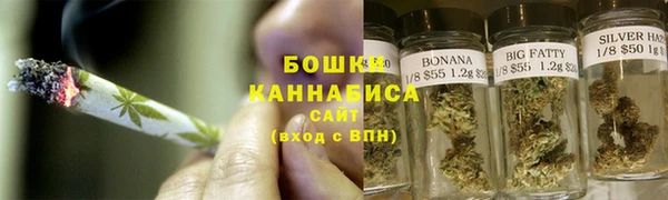 PSILOCYBIN Белокуриха