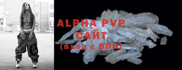 PSILOCYBIN Белокуриха