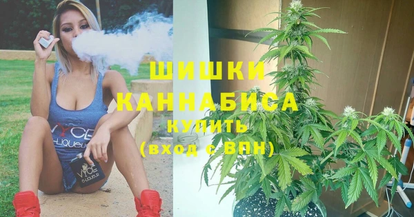 PSILOCYBIN Белокуриха