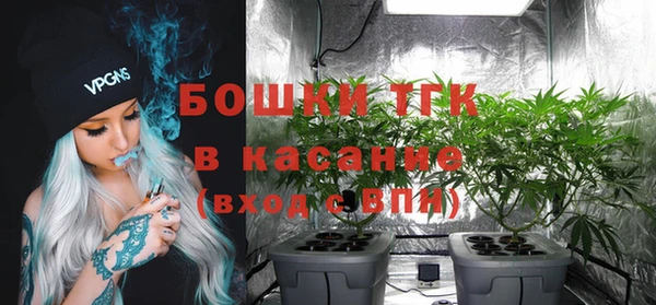 PSILOCYBIN Белокуриха