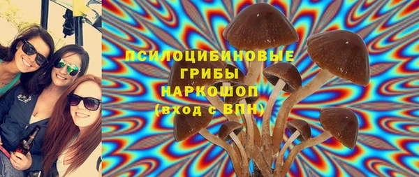 PSILOCYBIN Белокуриха