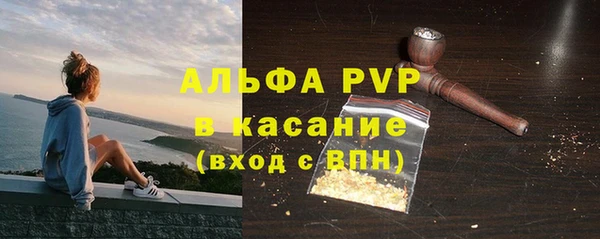 PSILOCYBIN Белокуриха