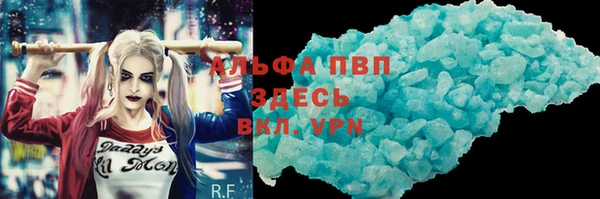 PSILOCYBIN Белокуриха